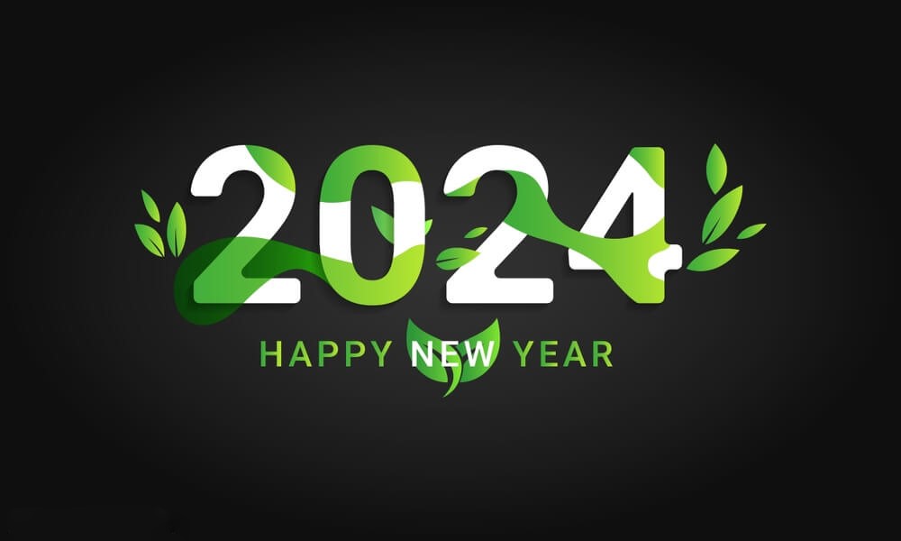 New Year 2024 Pictures
